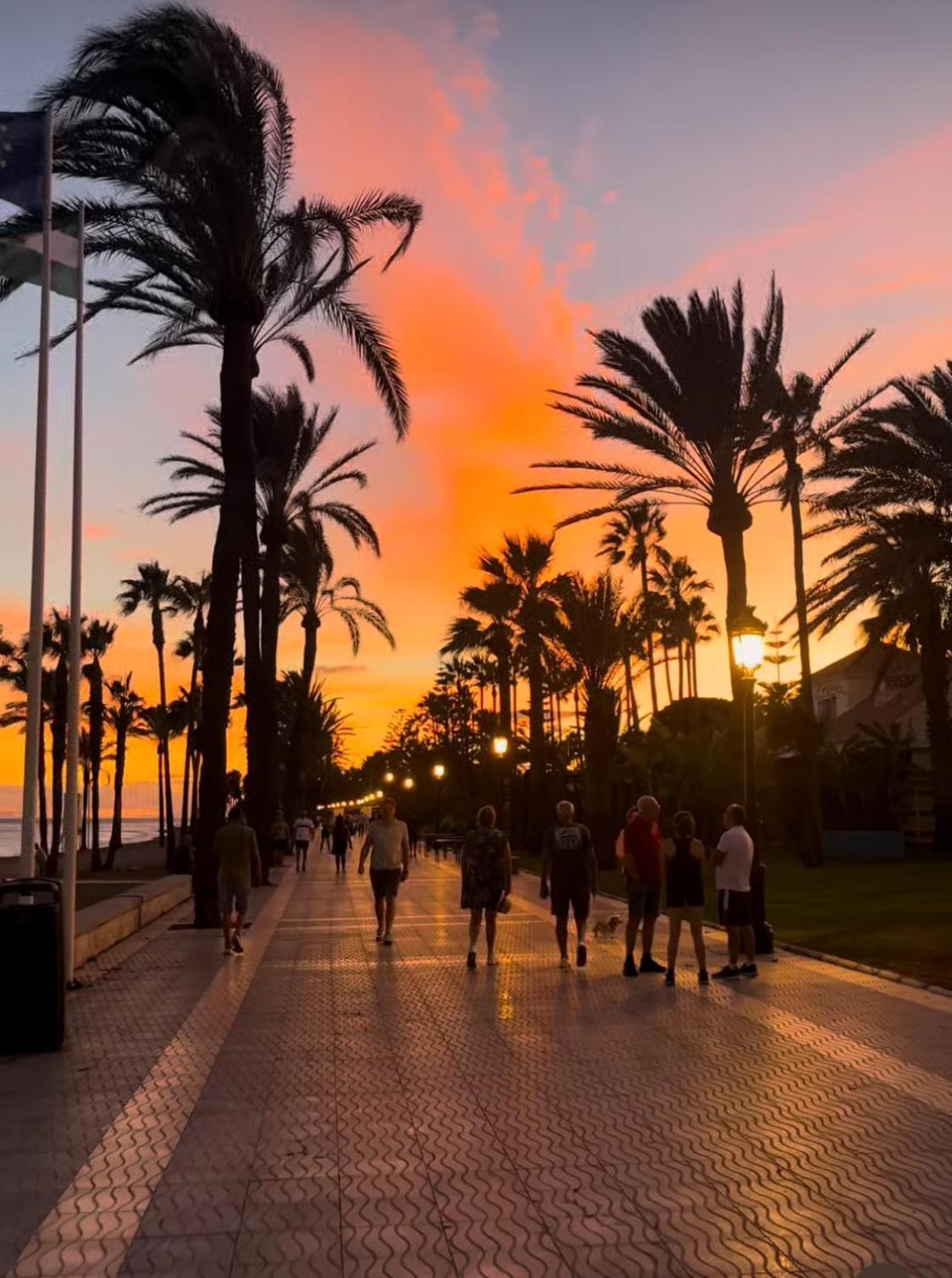Homemalaga ático Comedias * Málaga